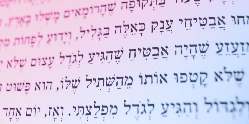 כשהשפה פוגשת חברה