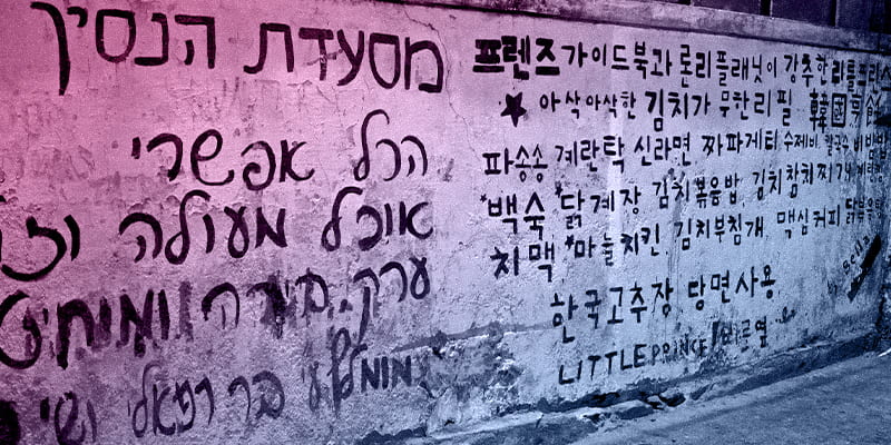 הפער שבין חוקי הדקדוק לבין השפה החיה